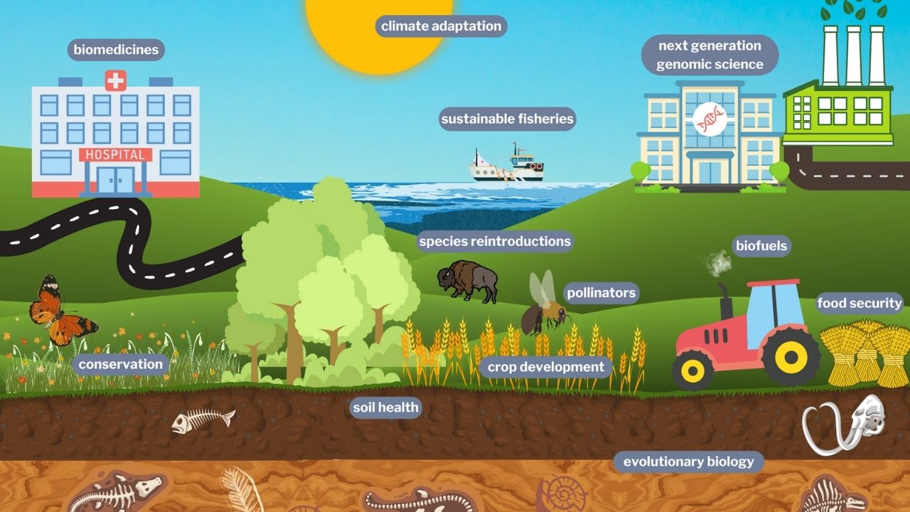 Graphic showing industries where reference genomes are utilised